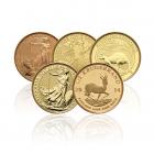 1/2 Oz Gold Coin (Mixed Brands) Best Value