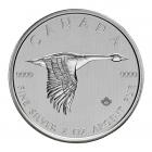 2 Ounce Canadian Goose Fine Silver Coin .999
