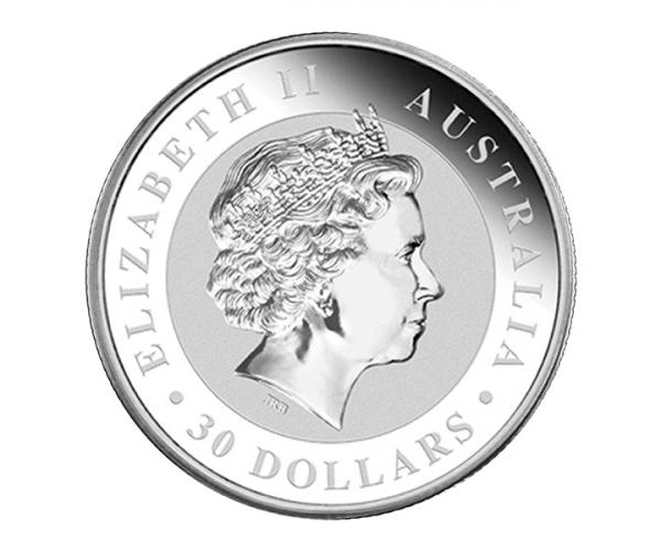 1 kg Silver Australian Kookaburra (Mixed Years) image
