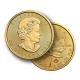 1 Ounce Gold Maple Leaf Coin (2022) image