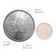 1 Ounce Silver Maple Leaf Coin (2023) image