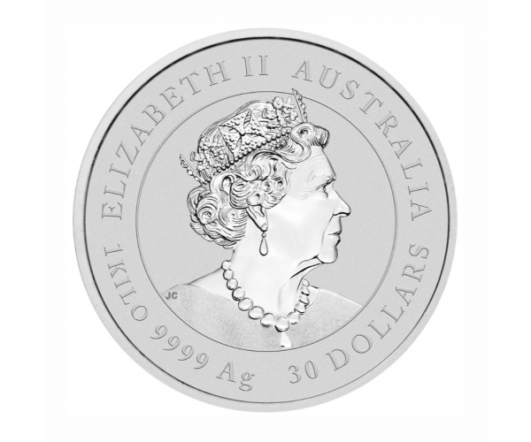 1kg Silver Australian Lunar Year of the Tiger Coin (2022) image
