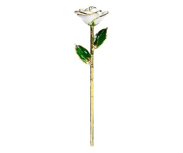 Eternity White Rose Limited Edition (Gift Set) image