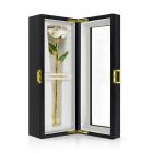 Eternity White Rose Limited Edition (Gift Set)