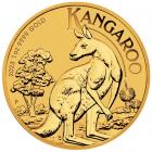 1 Ounce Gold Kangaroo Coin (2023)