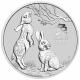 1/2 Oz Year of the Rabbit Silver Coin .999 (Mixed Years) image