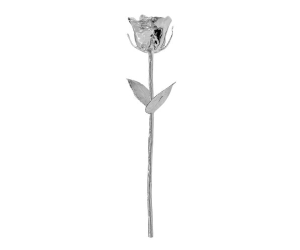 Eternity Silver Rose Limited Edition (Gift Set) image